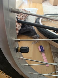 26 Zoll Damencityrad 21-Gang Shimano Kettenschaltung, Gepäckträger, Licht und Korb NEU 2608-SCHWARZ AB 155 CM KÖRPERGRÖSSE !!!!!!!!!!!!!!!!!!! Kunden-Foto 9