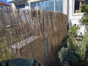 Windhager Schilf Sichtschutzmatte, 1,2 m hoch, stabil mit Eisendraht, dekorativ für Garten, Balkon & Terrasse Kunden-Foto 2