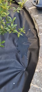 Praknu Unkrautvlies 100g/m2 Extra Stark - 50m2 - Unkrautfolie mit 24 Erdankern - Wasserdurchlässig & Reißfest - UV Stabil - Gartenvlies - Gartenfolie - Mulchfolie - Vlies gegen Unkraut - Unkrautmatte Kunden-Foto 1