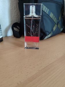 Armand Basi In Red Eau De Toilette Spray 100ml Kunden-Foto 1
