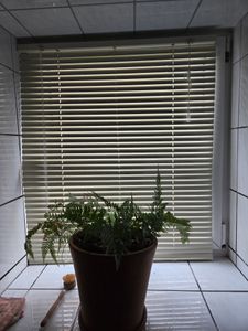 SONELLO Aluminium Jalousie 80cm x 100cm Creme Alu Jalousie Klemmfix ohne Bohren Sichtschutz Blendschutz Lichtschutz Sonnenschutz für Fenster und Türen Kunden-Foto 1