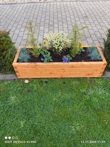 Pflanzkübel Kiefer - Pinie Lasiert 120 x 40 cm Blumenkasten Blumenkübel Hochbeet Kunden-Foto 5