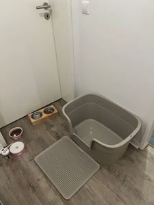 Für eine große Katzenrasse 
