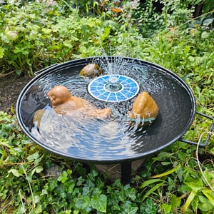 Vuurschaal - Vuurkorf - Vuurhaard - Tuinhaard - Staal - Ø58 cm - 22,5 cm - Zwart Klantenfoto 2