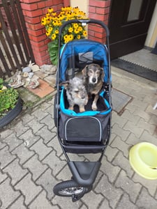 PawHut – skladací kočík pre psov a mačky do 20 kg Fotografia od zákazníka č. 2