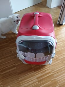 Scatola di trasporto Catit Cabrio Carrier 53 x 27 x 40,5 cm rosso-grigio Foto del cliente 1