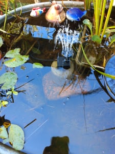 Solarbrunnen, Solar Springbrunnen, 1,5W DIY Solar Wasserpumpe mit 6 Düsen, 200 L/H Förderleistung, Solar Teichpumpe Kunden-Foto 1