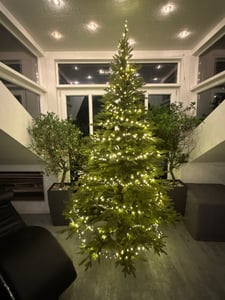 FairyTrees albero di Natale artificiale 120cm Abete Nordmann con supporto in legno | Albero di Natale artificiale con tronco verde | Facile da Montare | Prodotto in EU Foto del cliente 2