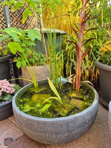 XXL Jardinière Ø 58 cm - RONDE - anthracite Photo du client 1