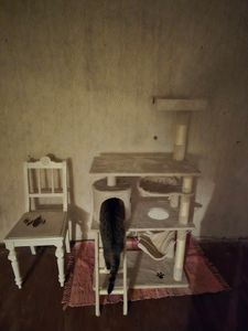 tectake® Kratzbaum Marcel 141 cm inklusive Treppe, Spielkordel und Kippschutz Kunden-Foto 24