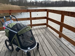 PawHut 2-in-1 Hundeanhänger Hundebuggy mit Reflektoren für Mittelgroße Hunde Kunden-Foto 1