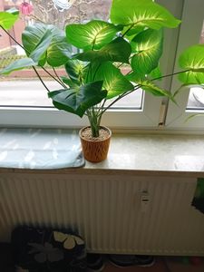 Blumentopf mit Einsatz, weiß, Sandy Round DSR130-S449 Kunden-Foto 1