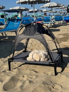PawHut Haustierbett mit Baldachin Erhöhtes Hundebett Hundeliege outdoor Kaffee Kunden-Foto 3