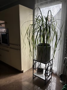 WISFOR Couchtisch Marmor Optik, Beistelltisch Nachttisch Telefontisch Blumentisch mit Metallgestell, Industrie-Design Kunden-Foto 3