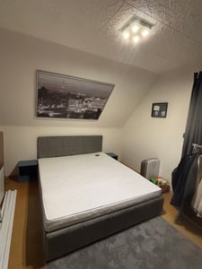 ProximaX Polsterbett 160x200cm Doppelbett mit Lattenrost und 4 Schubladen, Stauraumbett Holzbett Funktionsbett Samt, Grau Kunden-Foto 1
