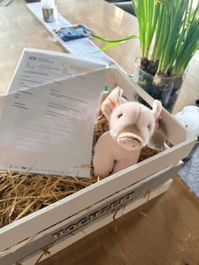 Ferkel Animigos Kuscheltier in schwarz-rosa Kunden-Foto 1