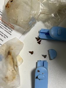 2026 Upgraded Kinder Tisch und Stuhl Set, höhenverstellbare Kinder funktionale Schreibtisch und Stuhl Set für Kinder 3-16, Kinder Studie Schreibtisch Kunden-Foto 12