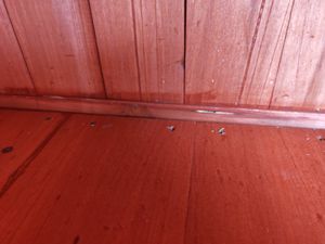 COSTWAY Lagerschrank mit herausnehmbarem Regal & 4 Universalrädern, Holzschrank, Geräteschrank für Garten, Innenhof und drinnen Kunden-Foto 2