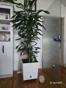 BigDean Prosperplast Rattan Blumentopf 26,6 L Anthrazit Übertopf Innen Außen mit Innenkasten wetterfest, schwarz, 26,5 x 26,5 x 50 cm Kunden-Foto 1