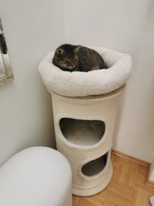 PetRhein Kratztonne 89 cm,Kratzbaum aus Bambus und Sisal mit Zwei Kuschelhöhlen und Aussichtsplattform, Durchmesser 48 cm, Katzenturm für große Katzen Kunden-Foto 1