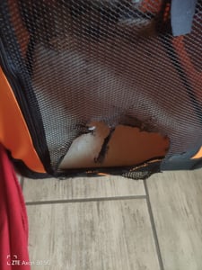 Hundebox Bello XXL Sunset-Orange faltbar Autotransportbox Hundetransportbox Katzen Hunde Box Kunden-Foto 9
