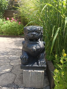 Einzelner Tempelwächter Löwe Shishi Fu Hunde Wächter Löwen Hund Skulptur Steinfigur Figur Links oder Rechts 40 cm Kunden-Foto 1