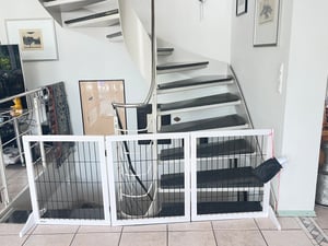 PawHut Absperrgitter für Hunde Schutzgitter Hundegitter Kiefer Weiß Kunden-Foto 1
