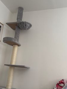 Feandrea Kratzbaum deckenhoch, 231-291 cm höhenverstellbarer xxl, hoher mehrstufiger Katzenkratzbaum, 11 cm dicke Stämme hellgrau Kunden-Foto 16