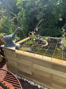 esotec Wasserspeier FROSCH + Solar-Teichpumpe Wasserspiel Gartenfigur 101650 Kunden-Foto 2