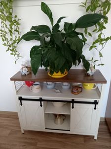 VASAGLE Sideboard Küchenschrank, 100 x 35 x 70 cm, mit offenen Regalfächern Kunden-Foto 1