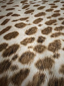 Leoparden Teppich Kunstfell Braun Weiß 160x185cm Fellimitat Pflegeleicht Felloptik Kunden-Foto 2