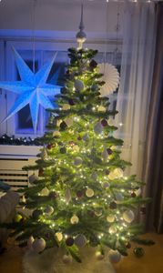 Hoogwaardige kunstkerstboom, Spaanse dennensoort, 220 cm Klantenfoto 17