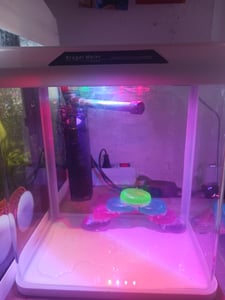 Kruger Meier Arona Aquarium 3l - aquarium noir Photo du client 1