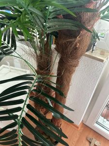 Decovego künstliche Fächerpalme, Kunstpalme, 180 cm aus Kunststoff in Grün, Kunstpflanze für Wohn- & Büroräume, Allergikerfreundlich & Pflegeleicht Kunden-Foto 2