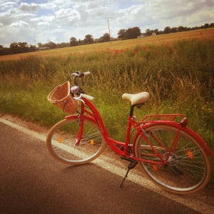 Milord Komfort Fahrrad Mit Weidenkorb Damenfahrrad, 28 Zoll, Rosa-Creme, 3 Gang Shimano Kunden-Foto 4