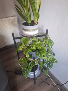 Blumenständer aus Metall, 6 Ablagen, schwarz, modern, 113cm, Loft Kunden-Foto 1