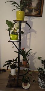 WISFOR Porte-plantes, 5 étages Étagère à fleurs Étagère à plantes, en forme de S à plusieurs étages Porte-plantes, brun rustique, 55 x 26 x 153 cm Photo du client 1