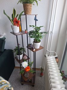 CMYbabee Pflanzenständer, 7 Etagen Hölzern Blumenregal Pflanzenregal, Mehrstöckig Blumenständer Pflanzenständer Blumenbank Blumentreppe Pflanzentreppe Standregal Kunden-Foto 8