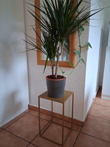 HowHomely Modern Pflanzenständer, Blumenhocker aus Metall Gold 70 cm Höhe - Blumenständer für das Haus Kunden-Foto 3