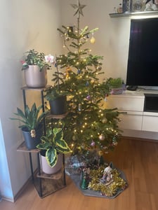 Blumenständer mit Wachstumslicht, 8 Ebenen Blumentreppen, 4 Räder，122cm/126.5cm Hoch Pflanzenständer Metall Blumenregal für Indoor Balkon,Weiß Kunden-Foto 5