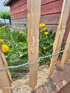 Staketenzaun in 26 Größen - Holzzaun aus Haselnuss - Gartenzaun Holz Höhen 50 cm - 150 cm Länge 5/10 Meter - Kastanienzaun für Garten (90cm x 5m) Kunden-Foto 17