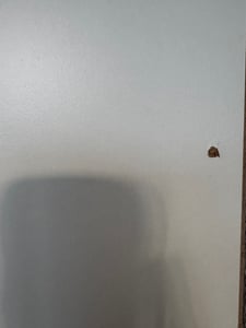 VCM Büroschrank mit 5 Fächern | moderner Aktenschrank mit Drehtüren | Maße ca. B. 70 x  H. 178 x T. 40 cm – Vandol Kunden-Foto 1