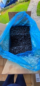 10 kg di uva sultanina Mangime per uccelli Foto del cliente 1