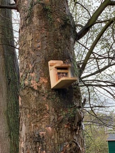 Waldfunk Eichhörnchen Futterhaus  I Wetterfeste Futterstation aus verschraubtem Massiv-Holz I mit Leinöl Behandlung - für Eichhörnchenfutter Kunden-Foto 1