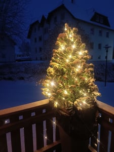 Yakimz Umelý vianočný stromček s osvetlením LED Jedľa na vianočnú výzdobu, vyrobený z PE a PVC, 120 cm vrátane 340 hrotov PVC ihlíc, 150 teplých bielych LED svetiel Fotografia od zákazníka č. 1