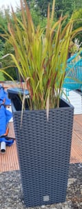 BigDean Prosperplast Rattan Blumentopf 26,6 L Anthrazit Übertopf Innen Außen mit Innenkasten wetterfest, schwarz, 26,5 x 26,5 x 50 cm Kunden-Foto 3
