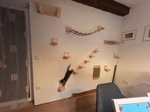 Parete di arrampicata Sdraietta per gatti Sdraietta per gatti Letto per gatti Scaffale per gatti a parete XXL 9965 Foto del cliente 3