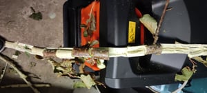 ATIKA ALF 2600-2 Leise-Walzenhäcksler Gartenhäcksler Schredder | 230V | 2600W Kunden-Foto 5