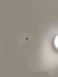 Seltmann Weiden Speiseteller LIDO rund DH 26,2 x 2,4 cm weiß , Essteller, Speiseteller Porzellan, Teller ,2. Wahl mit kleinen optischen Schönheitsfehl Kunden-Foto 3