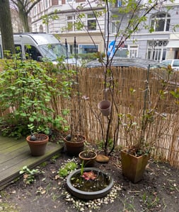 Windhager Schilf Sichtschutzmatte 2,0 m Höhe, stabil mit Eisendraht verbunden, für Garten, Balkon, Terrasse Kunden-Foto 1